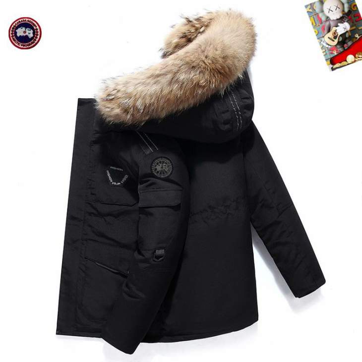 Picture of Canada Goose Down Jackets _SKUCanadaGooseM-3XL25tr19137930